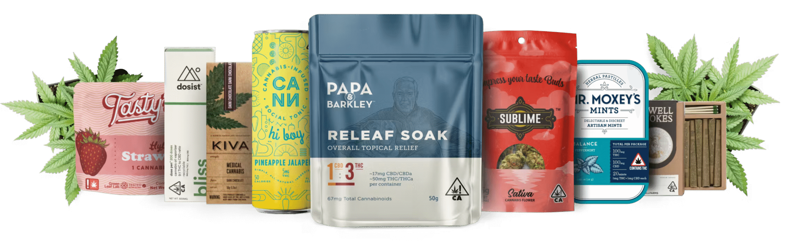 Daily Slides Presentation in Colorful Groovy Patterned Style(1)-min 2