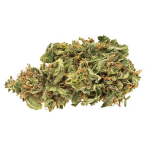 00694144002534a1cccompressed1000803jpg Speedy Cannabis | Your Local Cannabis Destination
