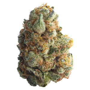 00841432010270a1cccompress1021036jpg Speedy Cannabis | Your Local Cannabis Destination