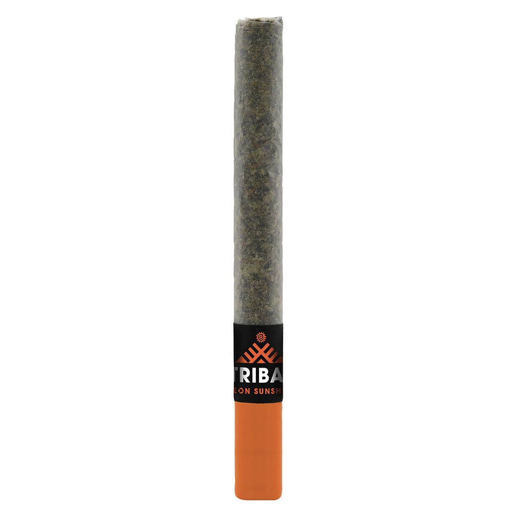00628124810932a1cdcompressed111194jpg Speedy Cannabis | Your Local Cannabis Destination