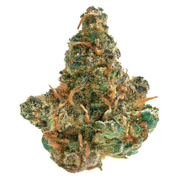 00841432010744A1CCcompressed1063231JPG Speedy Cannabis | Your Local Cannabis Destination