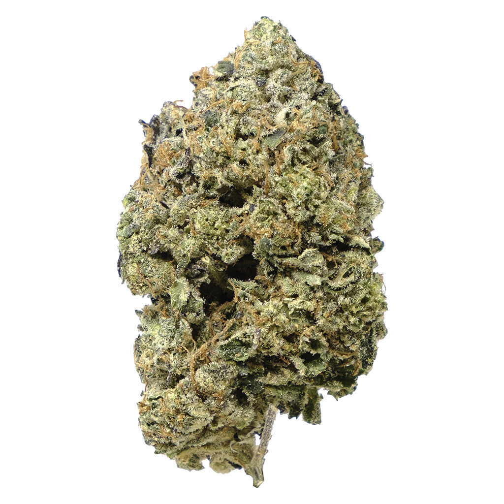 00990015300243a1cccompressed110656jpg Speedy Cannabis | Your Local Cannabis Destination