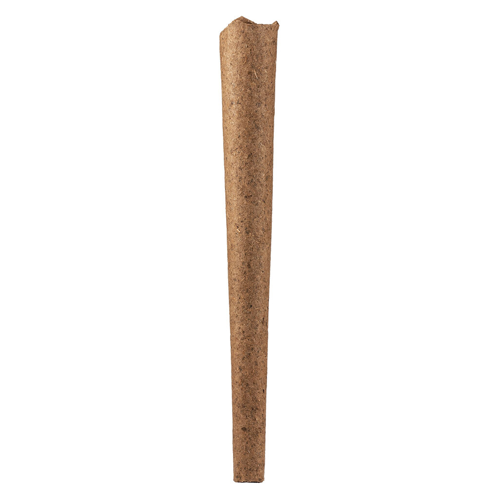 00842572006024a1cdcompressed1111062jpg Speedy Cannabis | Your Local Cannabis Destination