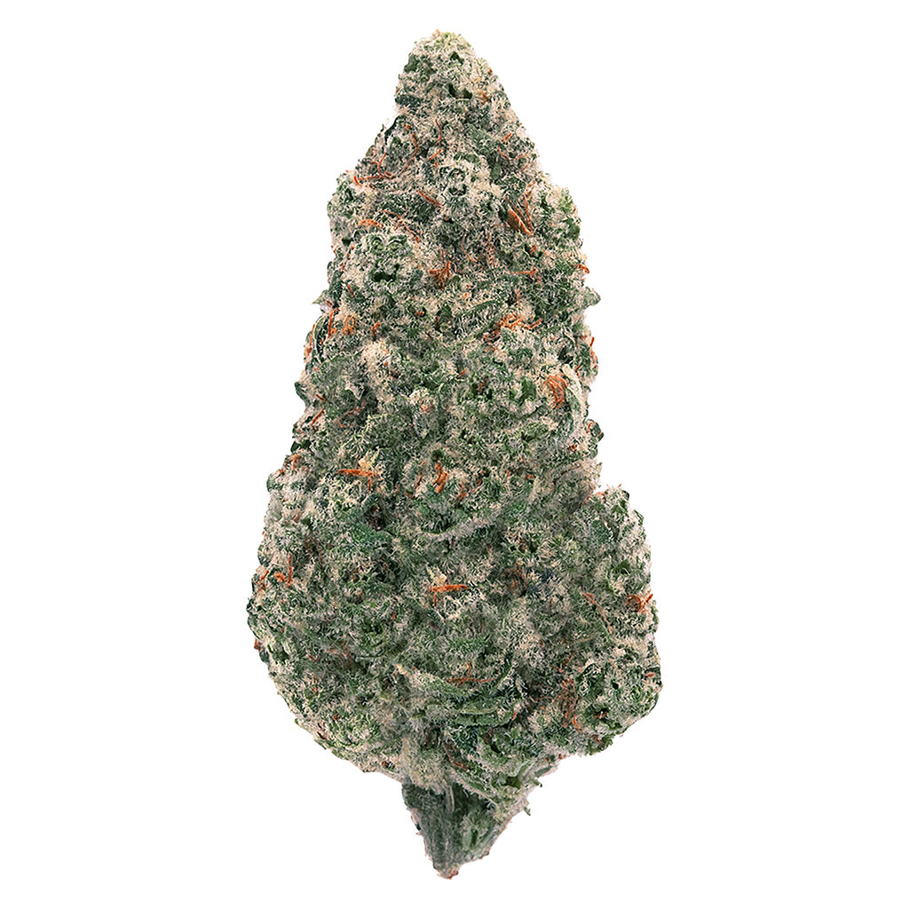 00628186229574a1cccompressed1027611jpg Speedy Cannabis | Your Local Cannabis Destination
