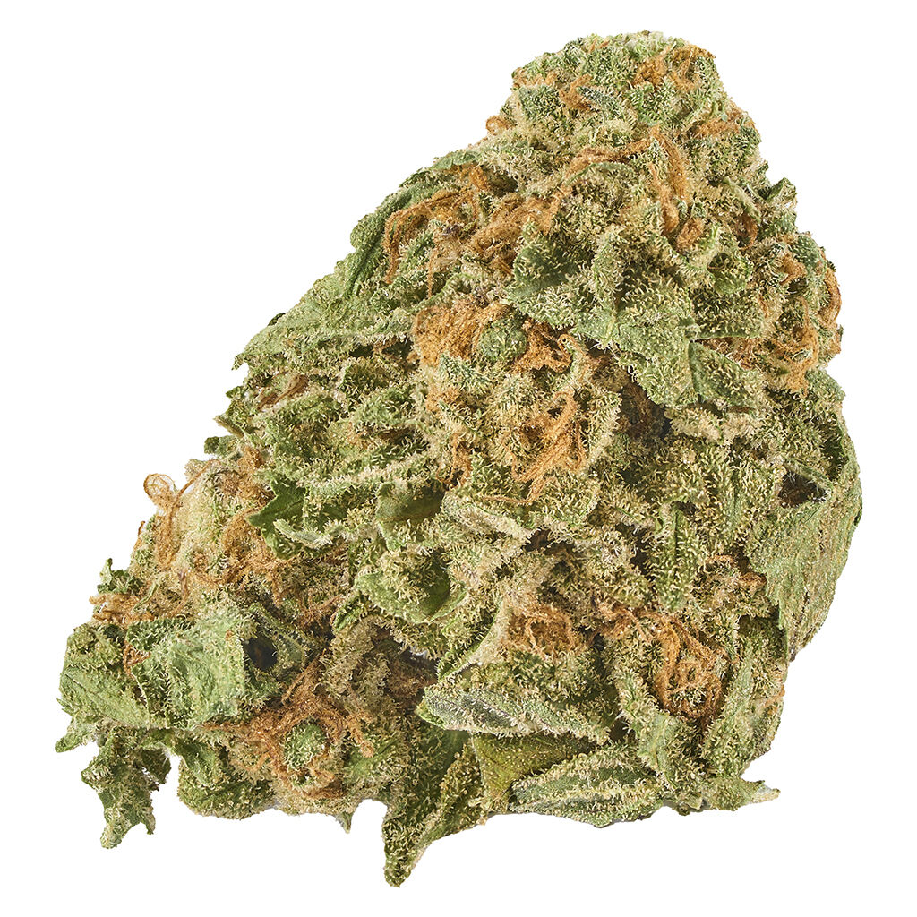 00694144008611a1cccompressed1040041jpg Speedy Cannabis | Your Local Cannabis Destination