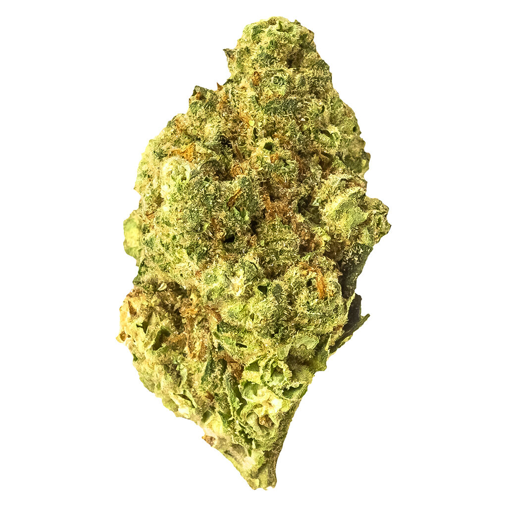 00800129905558a1cccompressed108744jpg Speedy Cannabis | Your Local Cannabis Destination