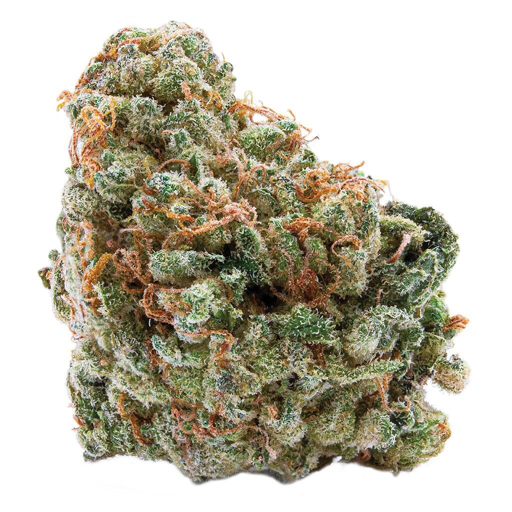 00841432010218a1cccompressed102147jpg Speedy Cannabis | Your Local Cannabis Destination