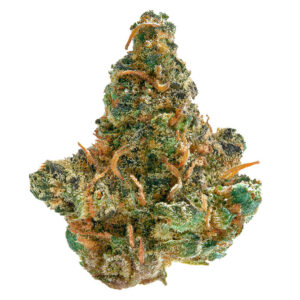 00841432010454a1cccompressed1034422jpg Speedy Cannabis | Your Local Cannabis Destination