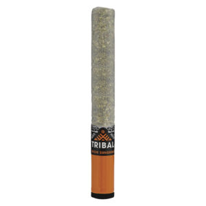 NEON SUNSHINE CERAMIC TIP PRE-ROLL - 1x1g