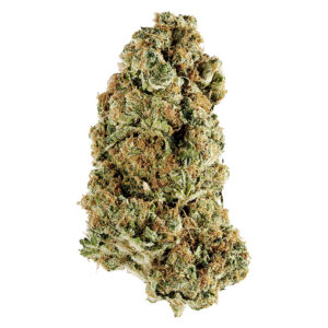 ANIMAL RNTZ 35g Speedy Cannabis | Your Local Cannabis Destination ANIMAL RNTZ 35g