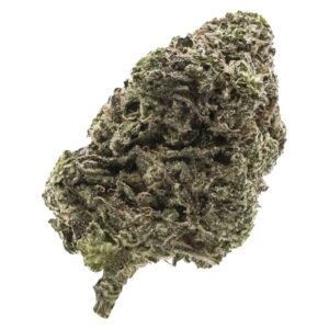 JUNGLE FUMES 7g Speedy Cannabis | Your Local Cannabis Destination JUNGLE FUMES 7g