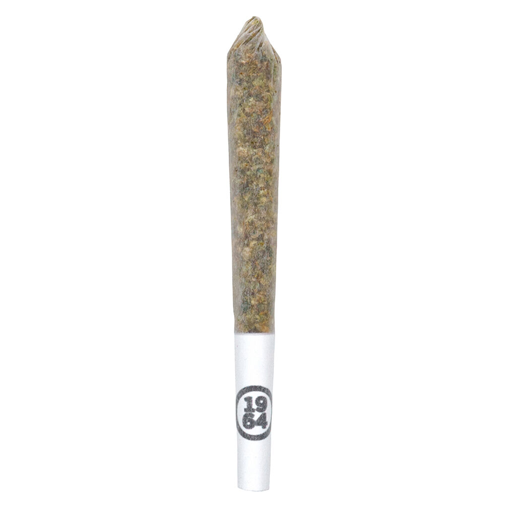 COMATOSE PREROLL 1x1g Speedy Cannabis | Your Local Cannabis Destination COMATOSE PRE ROLL 1x1g