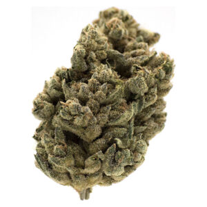 JUNGL CAKE 35g Speedy Cannabis | Your Local Cannabis Destination JUNGL CAKE 35g