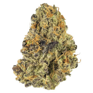 BLUEBERRY TART - 7g