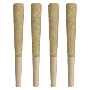 BLUEBERRY MUFFINZ PRE-ROLL - 4x0.5g