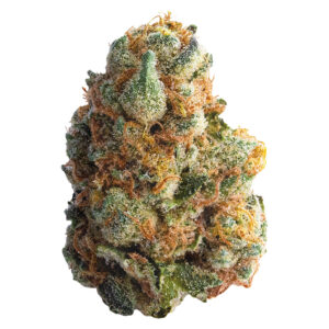 GMO COOKIES - 14g