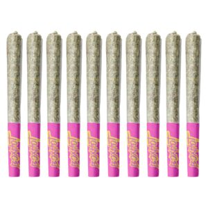 TERPEDOS NEON RIOT PRE ROLL 1x1g