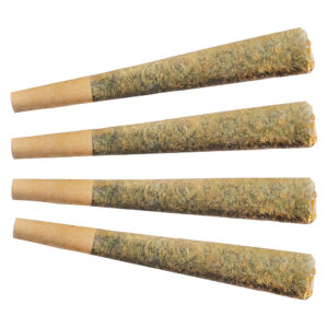 NIGHT RIDER INDICA PRE ROLL 4x1g