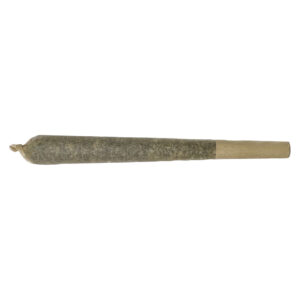 ALIEN LIMEADE DISTILLATE INFUSED PRE ROLL 1x1g