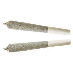 XPLOR SATIVA PRE-ROLL - 1x1g