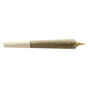 BIG BUDDY INDICA PRE ROLL 2x1g