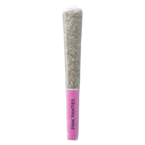 PINK PANTIES PRE-ROLL