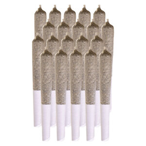 BLUE DREAM PRE ROLL 5x05g